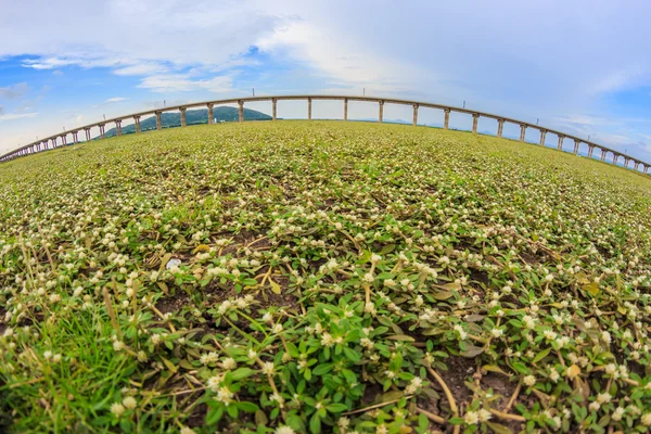 Landschap met viaduct in Lopburi — Stockfoto