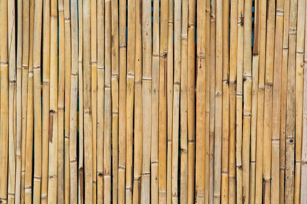 Сухая бамбуковая текстура — стоковое фото