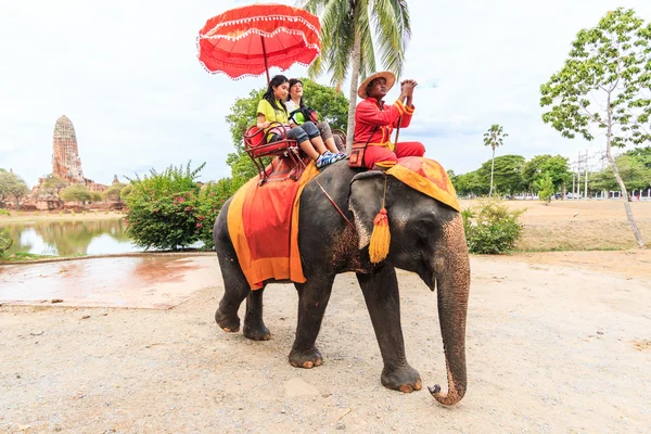 Tourists on elephants in Ayutthaya — Stock Photo, Image