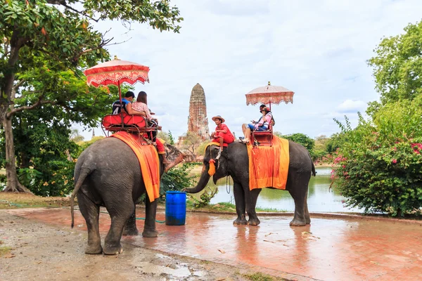 Tourists on elephants in Ayutthaya — Stock Photo, Image