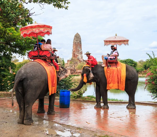 Tourists on elephants in Ayutthaya — Stock Photo, Image