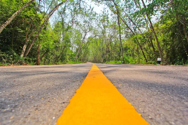 Largo camino de asfalto — Foto de Stock