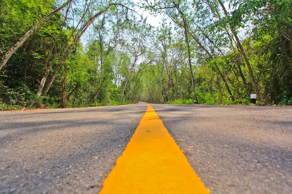 Lange Asphaltstraße — Stockfoto