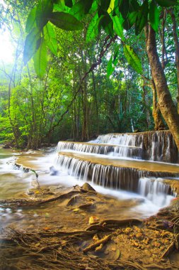 Şelale ve orman Kanjanaburi akışında 