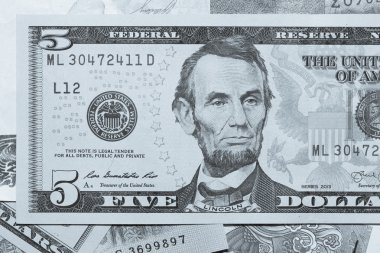 Amerikan dolarları.