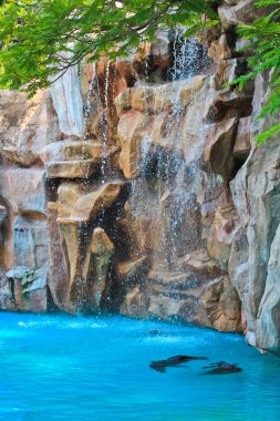 Hayvanat Bahçesi yapay şelale