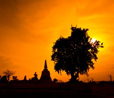 ayutthaya içinde Tapınak