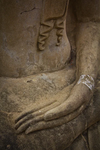 Buddha kéz a Ayutthaya — Stock Fotó