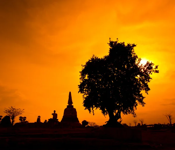 Oude tempel in ayutthaya — Stockfoto