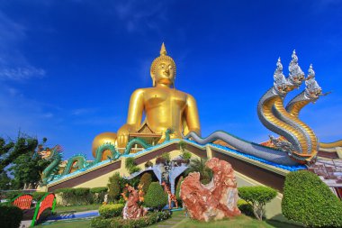 Big buddha heykeli  