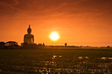 Big buddha heykeli  