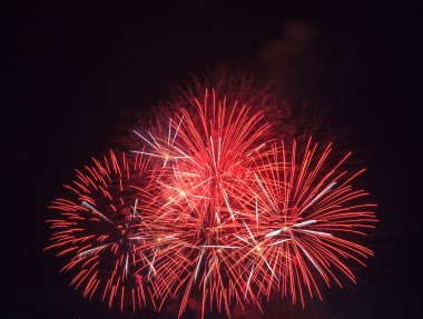 inanılmaz renk Fireworks