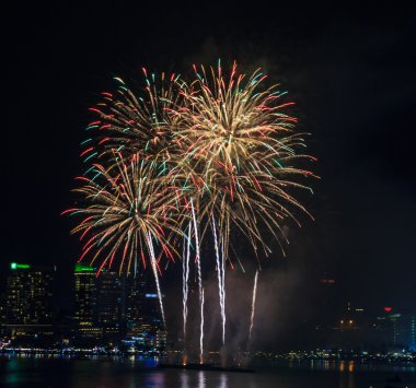 inanılmaz renk Fireworks