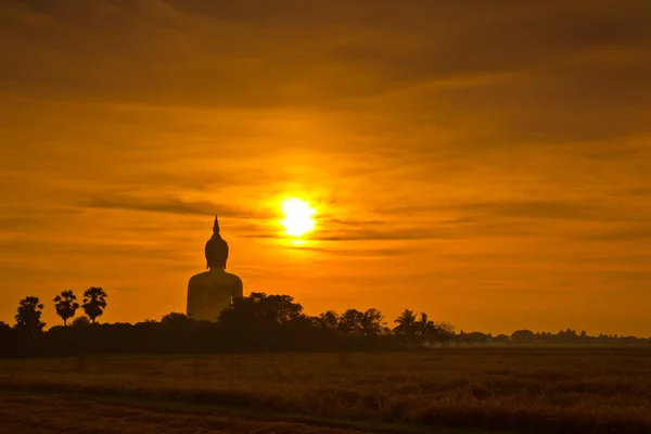 Velká socha Buddhy v západu slunce — Stock fotografie