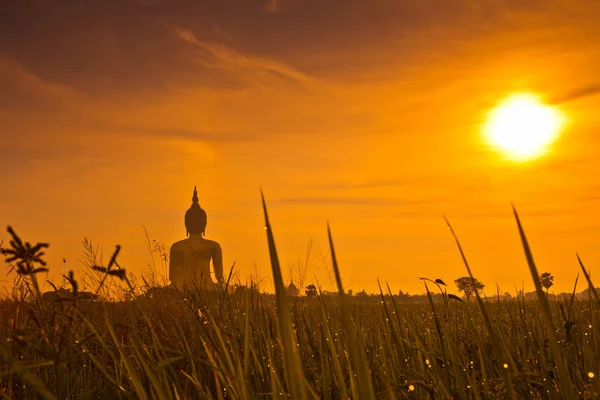 Velká socha Buddhy v západu slunce — Stock fotografie