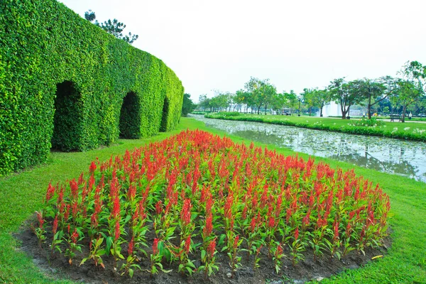 Asiático parque paisagismo — Fotografia de Stock