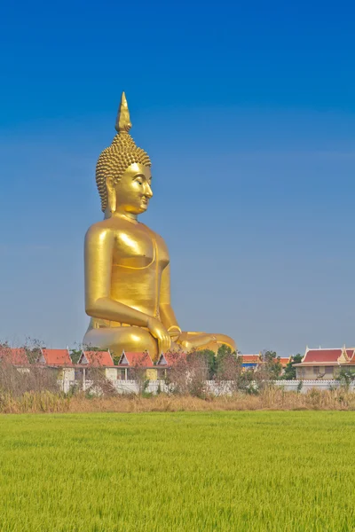 Grote gouden Boeddhabeeld — Stockfoto