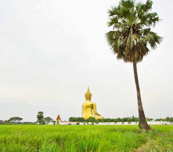 Big buddha statue — Stock Photo, Image