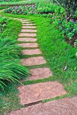 güzel Parkta yürümek