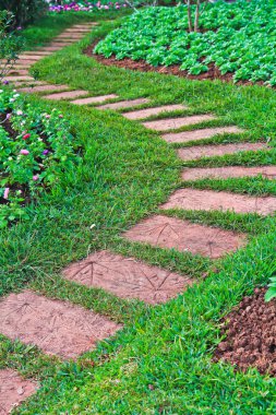 güzel Parkta yürümek