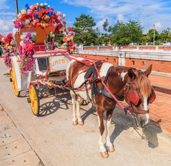 Horse carriage at Wat Phra — Stock Photo, Image