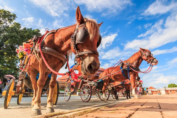 Horse carriages at Wat Phra — Stock Photo, Image