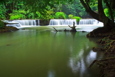 şelale orman Milli Parkı'nda