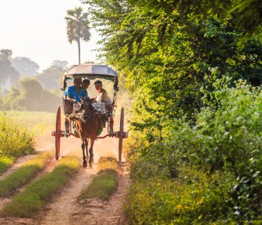 Turistlere at arabası