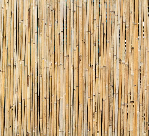 Dried bamboo pattern — Stock Photo, Image