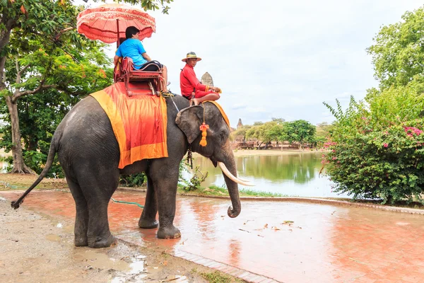Turisté na slona ride tour — Stock fotografie