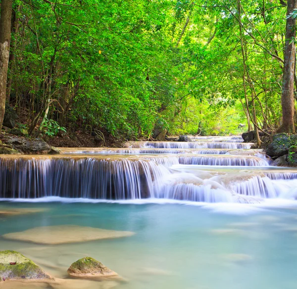 Cascade et ruisseau en forêt — Photo