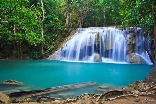 Waterfall and stream in forest — Stock Photo, Image