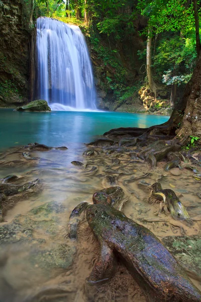 Водопад и ручей в лесу — стоковое фото