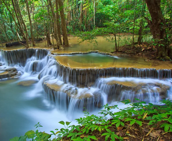 Cascata e torrente nella foresta — Foto Stock