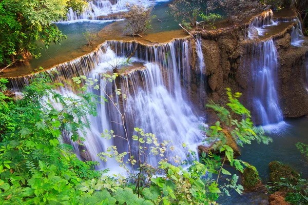 Водопад и ручей в лесу — стоковое фото