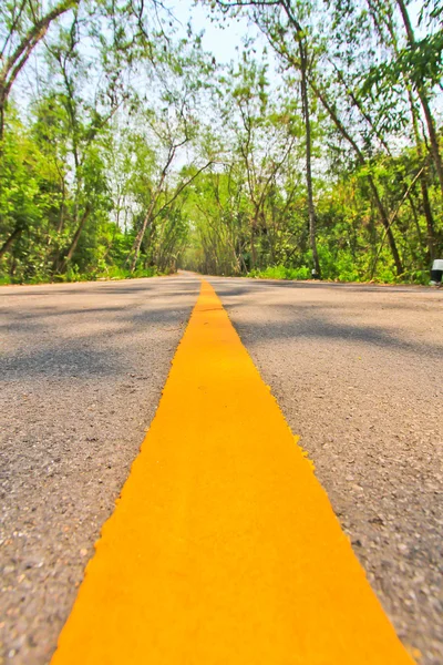 Largo camino de asfalto — Foto de Stock