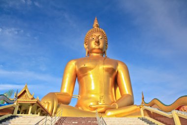 büyük altın buddha heykeli  