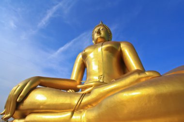 büyük altın buddha heykeli  