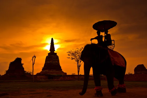 Zonsondergang Thaise platteland — Stockfoto