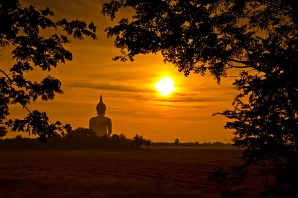 Socha Buddhy v západu slunce — Stock fotografie