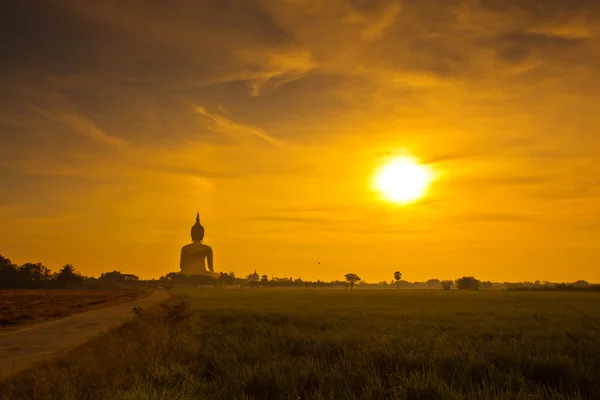Socha Buddhy v západu slunce — Stock fotografie