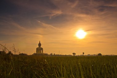 Tayland'da Big buddha heykeli