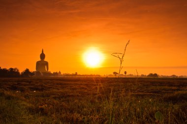Wat muang büyük Buda heykeli