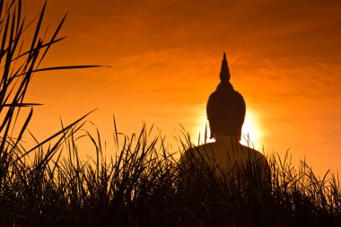 Wat muang büyük Buda heykeli