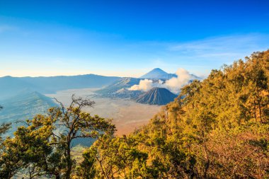 Bromo tengger semeru Milli Parkı