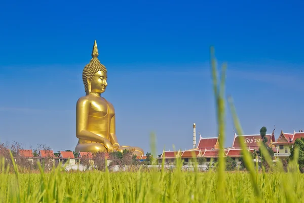 Estátua de Buda de Ouro em Wat Muang — Fotografia de Stock