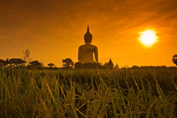 Gran estatua de buda en Wat muang — Foto de Stock