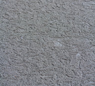 kum topları yapmadan Yengeç 