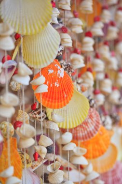 Deniz kabukları ürün halatlar üzerinde 