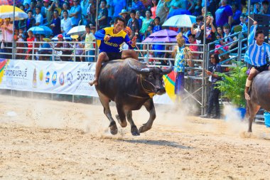 Buffalo yarış Festivali kimliği belirsiz katılımcıları